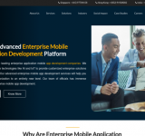 Enterprise Mobile Application Development | Zencodeguru